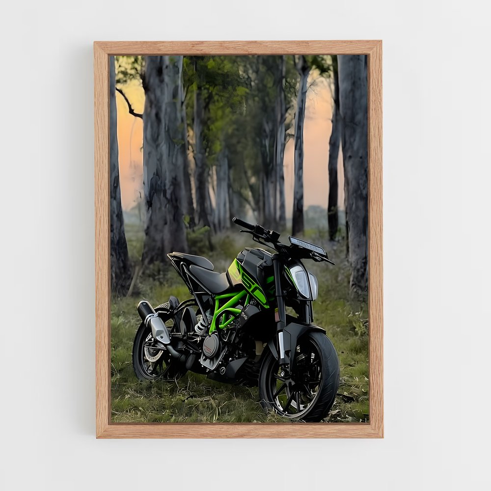 Poster L'Aventure Verte – affiche KTM Moto (vue 4)